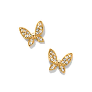 Enchanting Butterfly Post Earrings - Gold