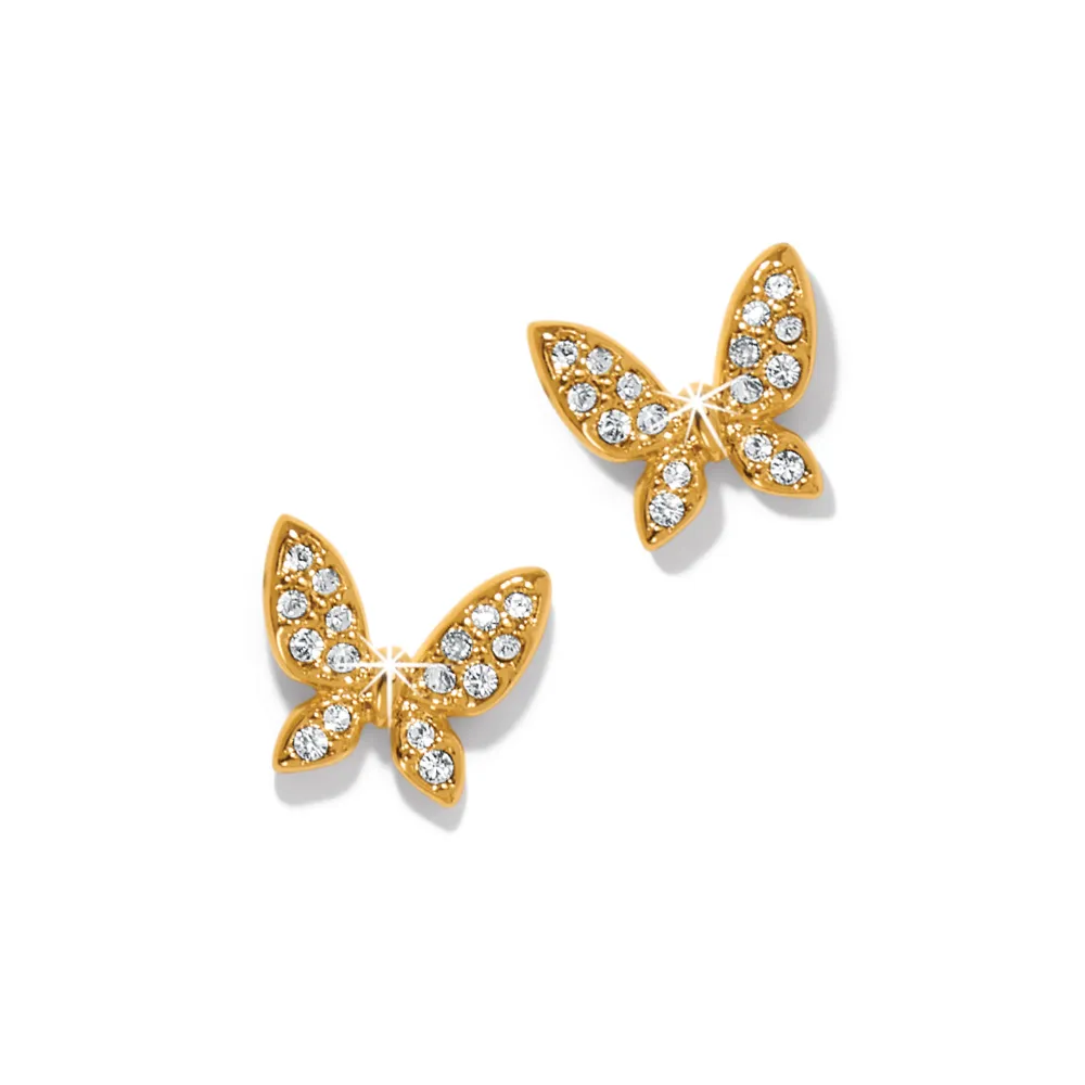 Enchanting Butterfly Post Earrings - Gold